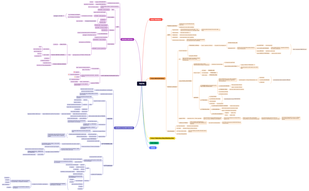 ANATOMIA TOPOGRAFICA