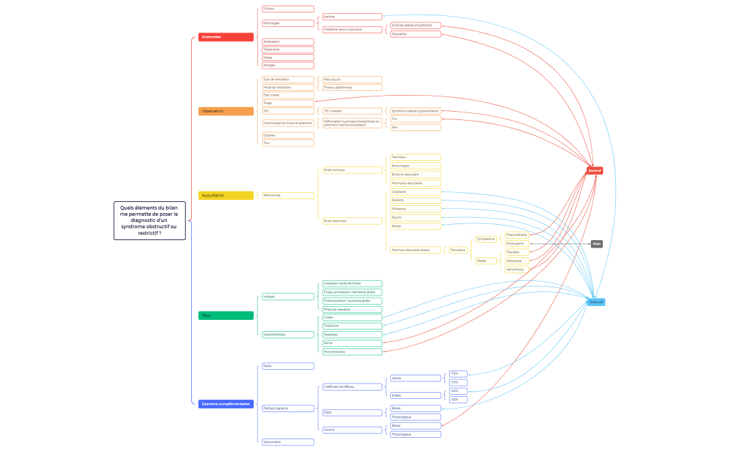 UE13 TD Mulh B - Carte mentale