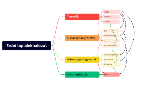 Erdei táplálékhálózat
