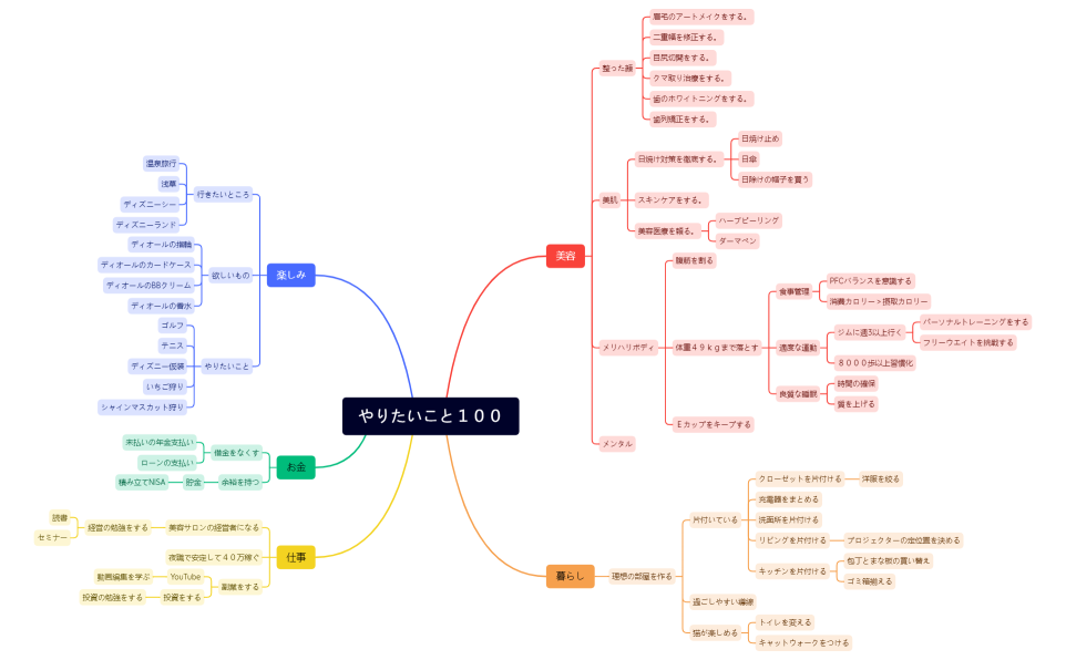 やりたいこと１００.xmind