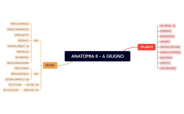 ANATOMIA II - 6 GIUGNO.xmind
