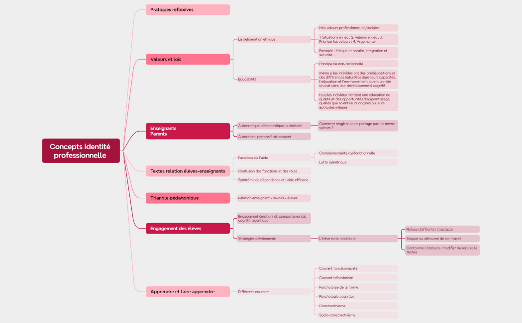 Concepts identité professionnelle 