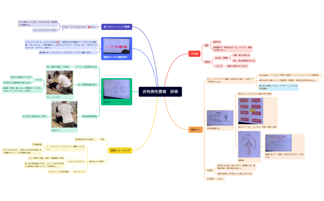 非特異性腰痛　研修
