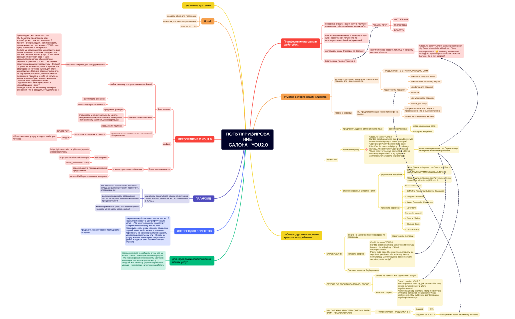 ПОПУЛЯРИЗИРОВАНИЕ САЛОНА   YOU2.0
