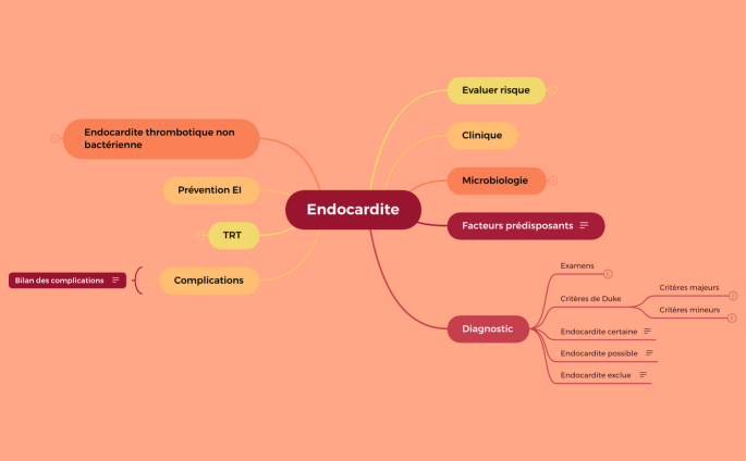 Endocardite