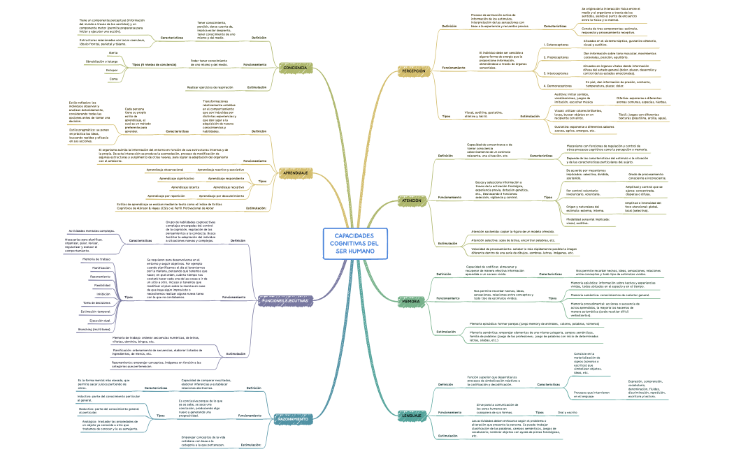 CAPACIDADES COGNITIVAS DEL SER HUMANO