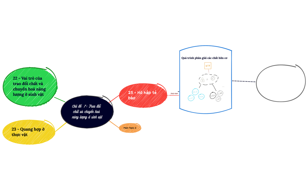 Chủ đề  7: Trao đổi chất và chuyển hoá năng lượng ở sinh vật.xmind