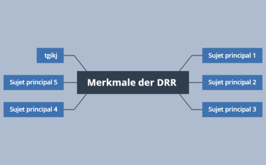 Merkmale der DRR 