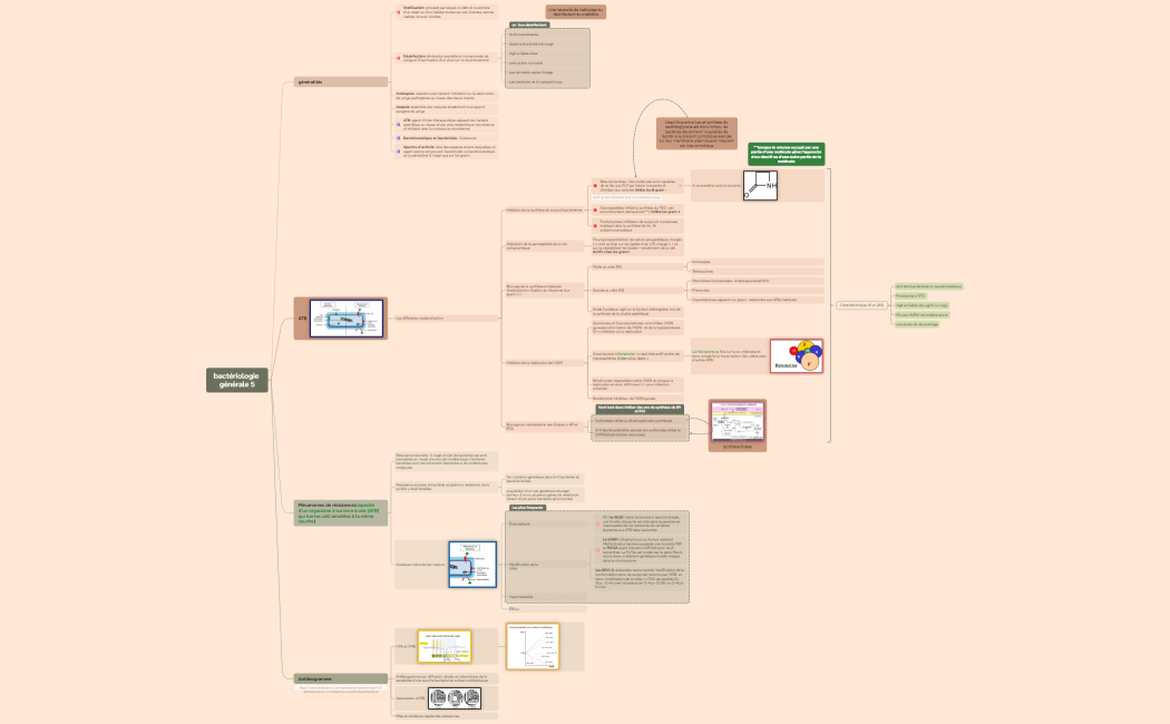 bactériologie générale 5