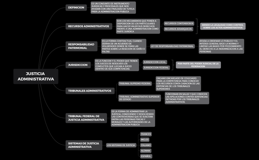 JUSTICIA ADMINSTRATIVA 