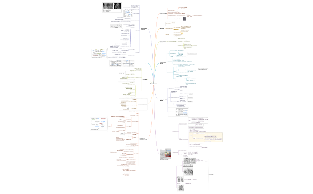 Renal Disorder.xmind