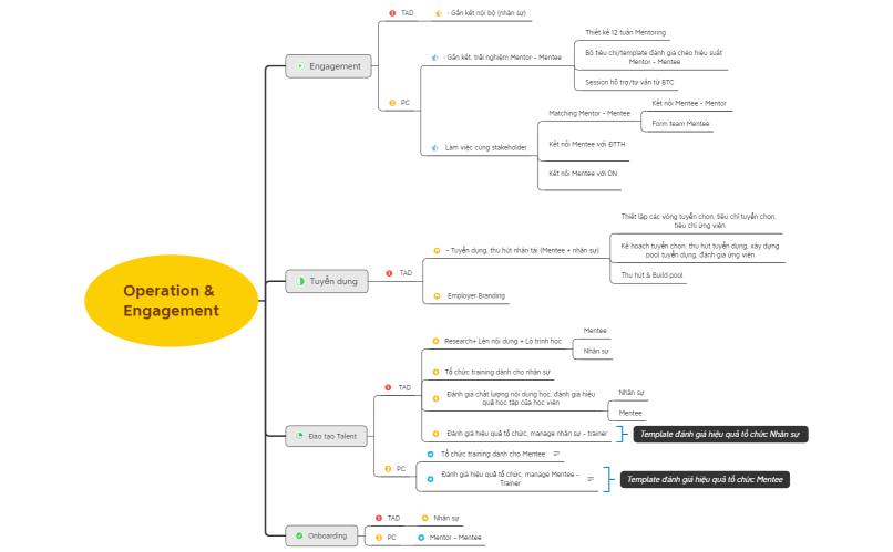 Operation & Engagement | Scope of work