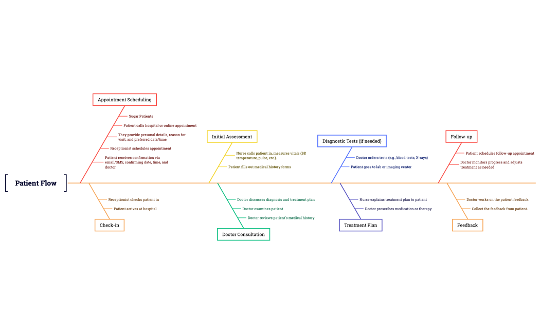 Patient_Flow_fish_bone