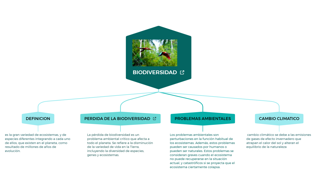 BIODIVERSIDAD