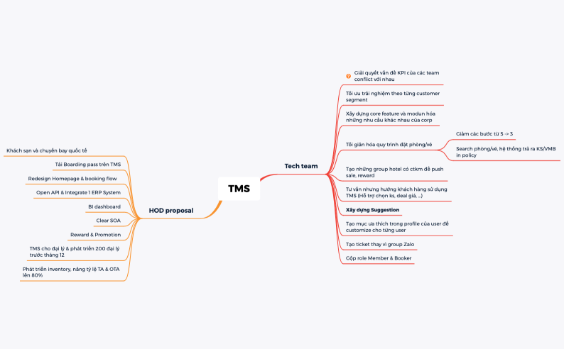 TMS plan