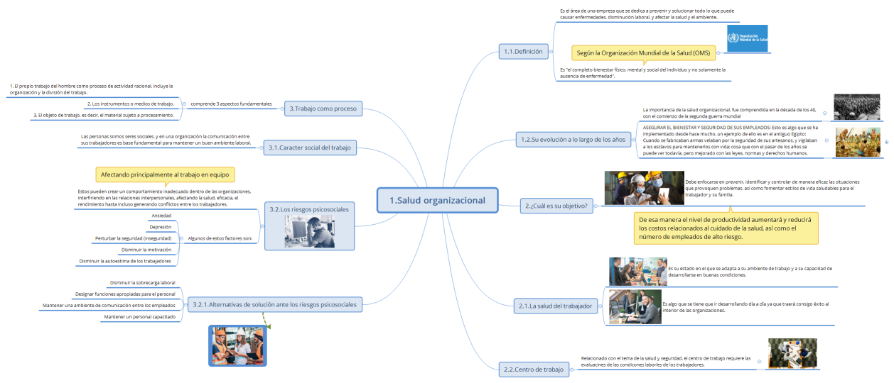 1.Salud organizacional
