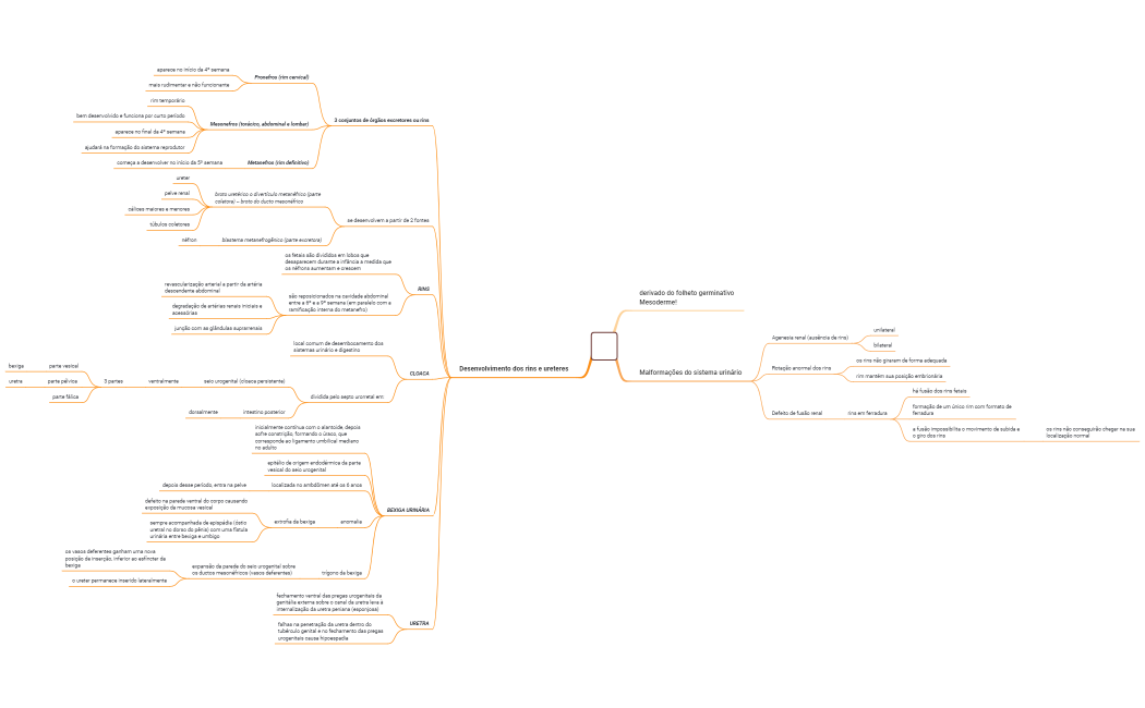 Embriologia_do_sistema_urinarioxmind-tUX2Ad-snO7uZE-41017