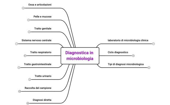Diagnostica in microbiologia