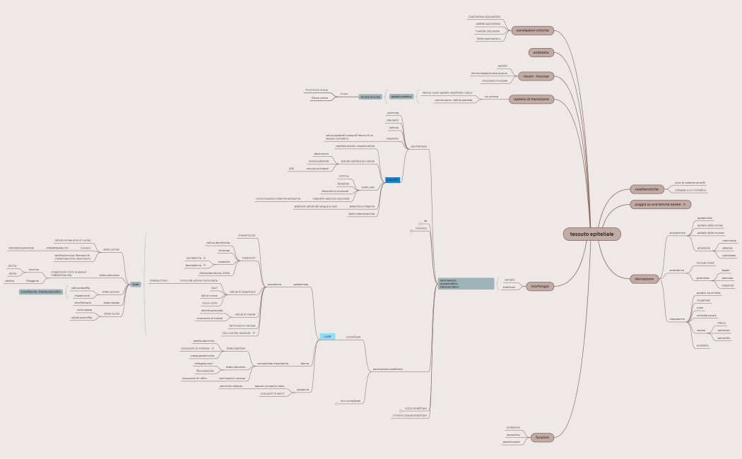 tessuto epiteliale