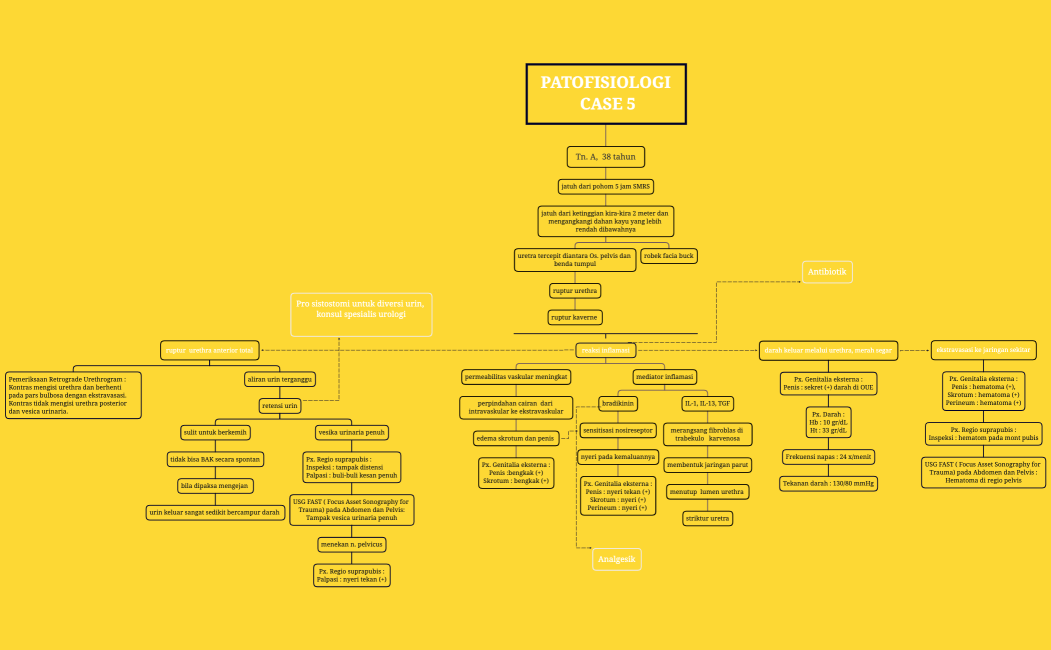 PATOFISIOLOGI CASE 5