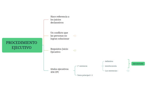 PROCEDIMIENTO EJECUTIVO 