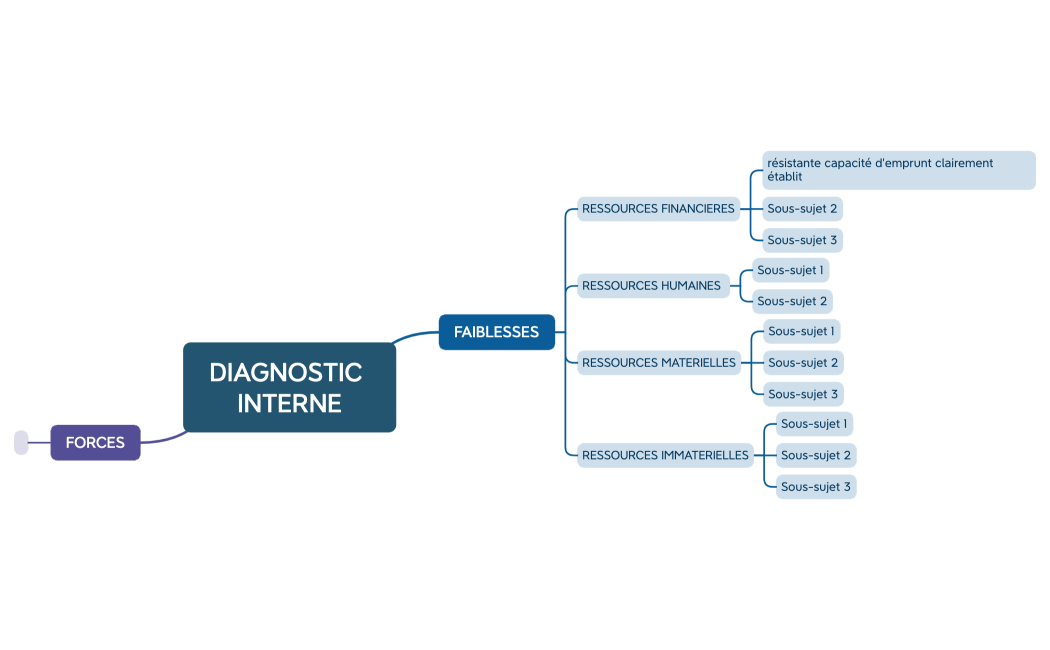 DIAGNOSTIC INTERNE