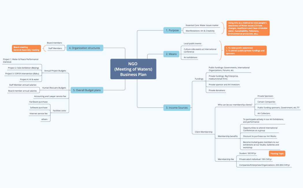 NGO (Meeting of Waters)Business Plan