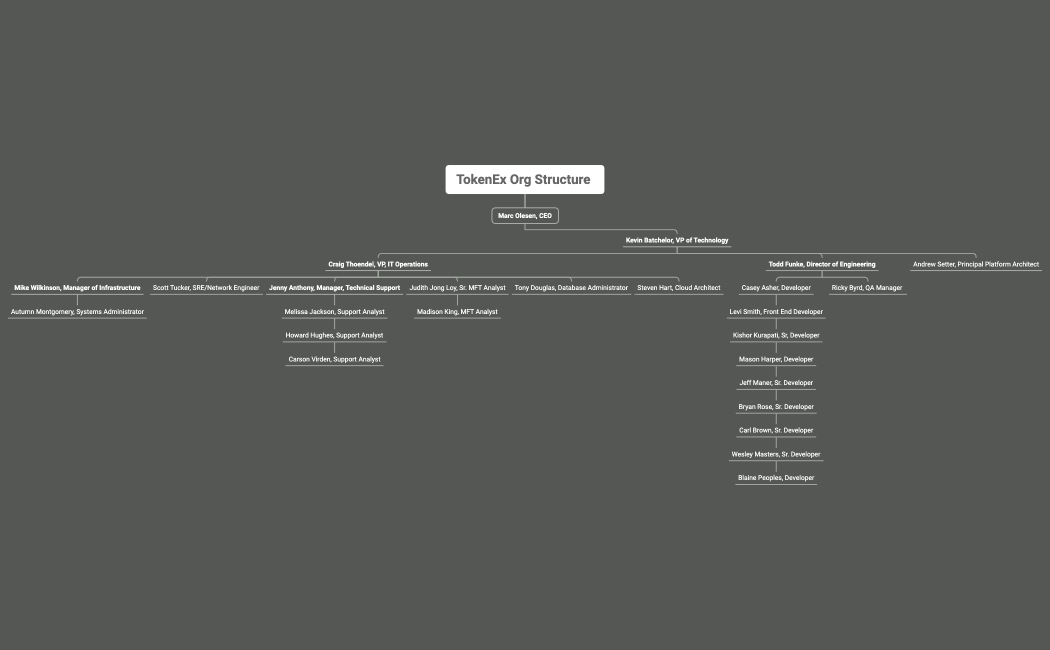 TokenEx Org Structure Technology