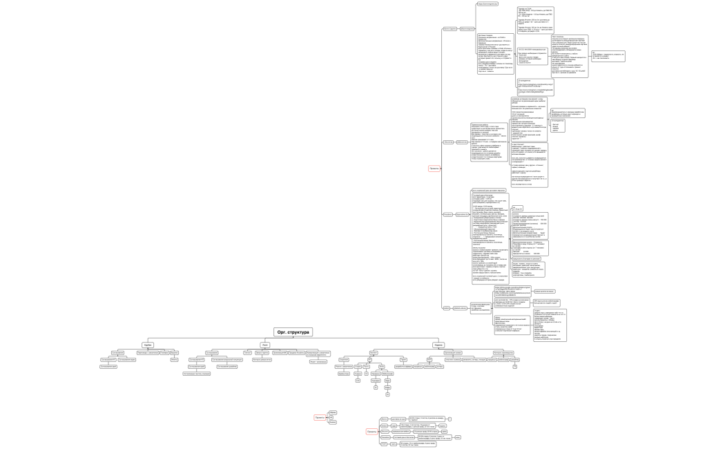 Орг. структура-1