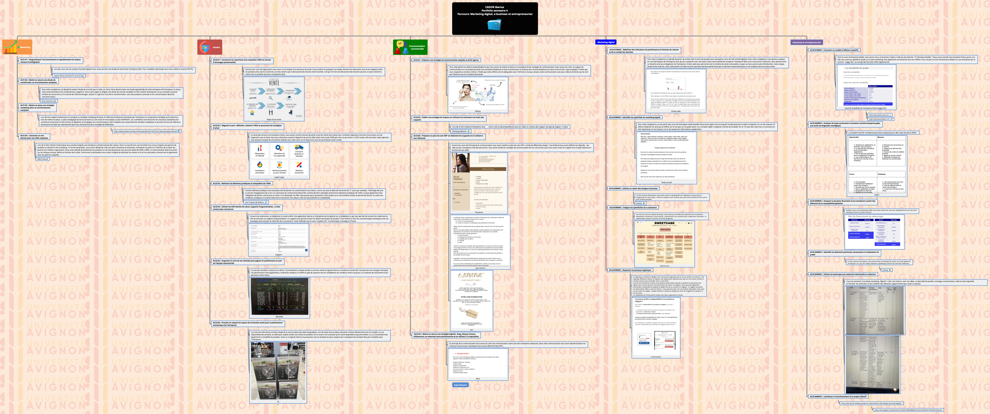 CADOR Marius Portfolio semestre 4 Parcours: Marketing digital, e-business et entrepreneuriat