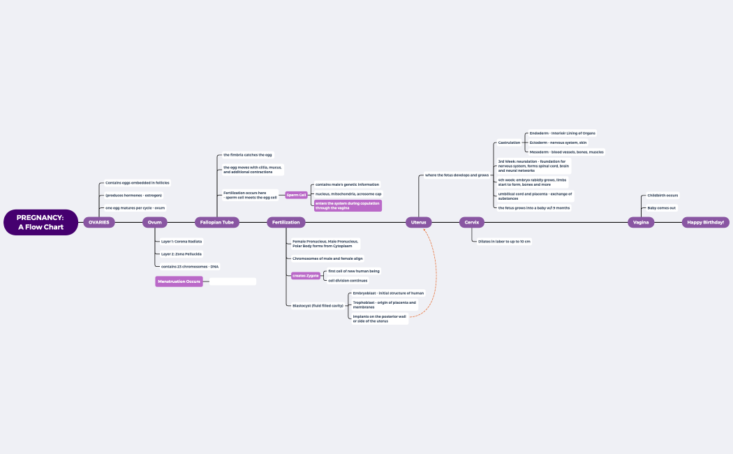 Bernardino - Pregnancy: A Flow Chart