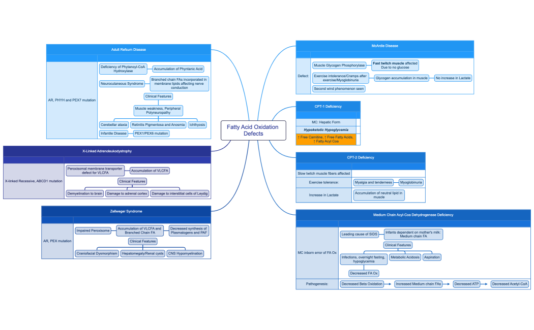 Fatty Acid Oxidation Defects