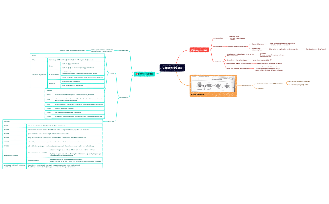 Carbohydrates.xmind
