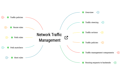 Network Traffic Management