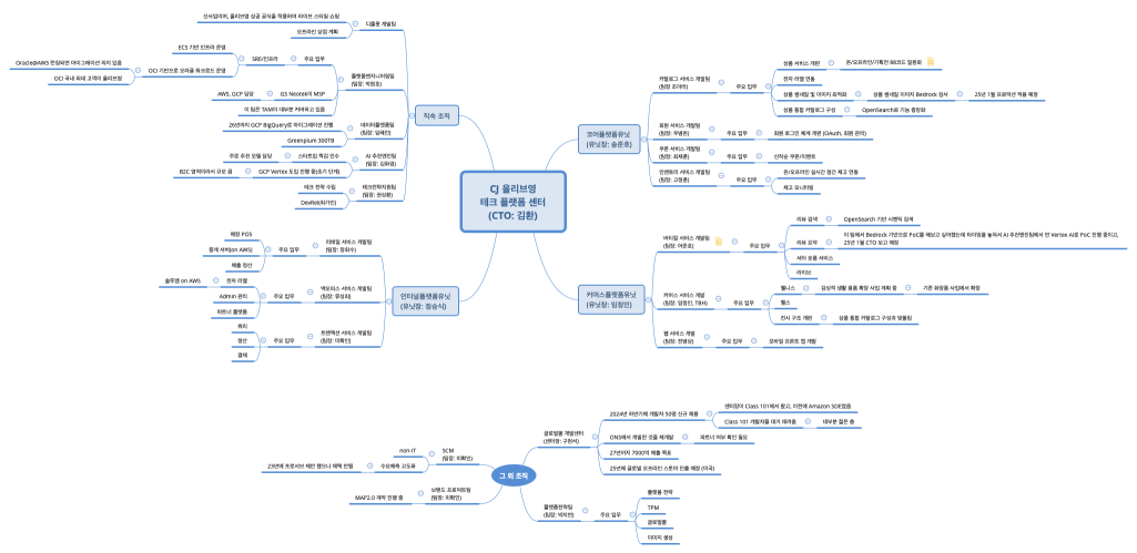 CJ 올리브영 테크 플랫폼 센터 (CTO: 김환)