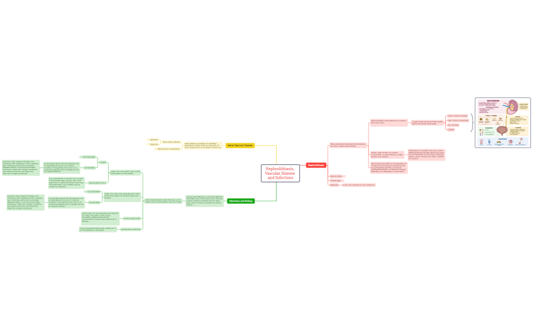 Nephrolithiasis, Vascular Disease and Infections