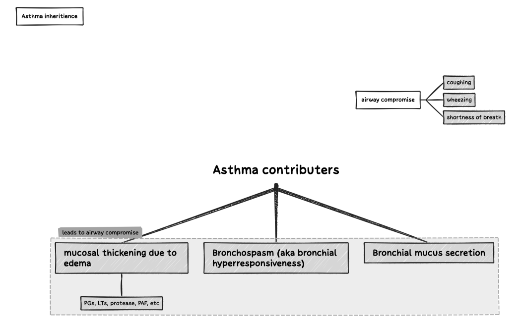 Asthma contributers