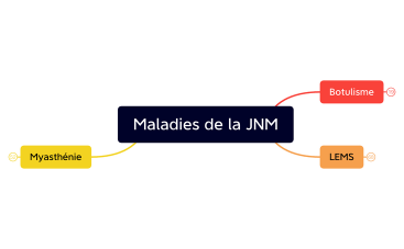 Maladies de la JNM