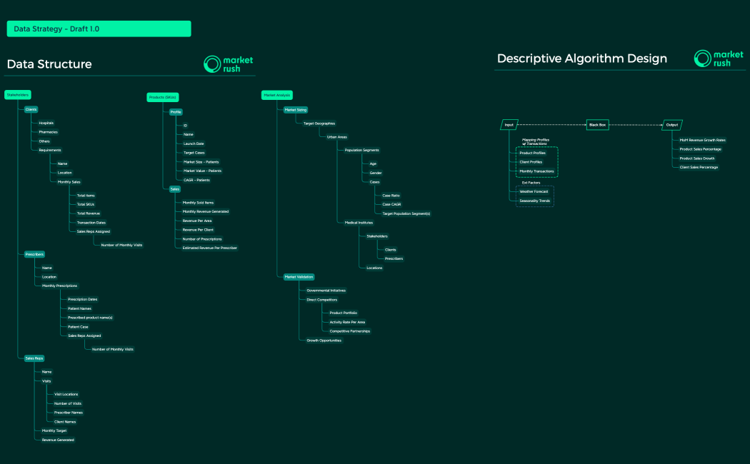 Data Strategy - Draft 1.0