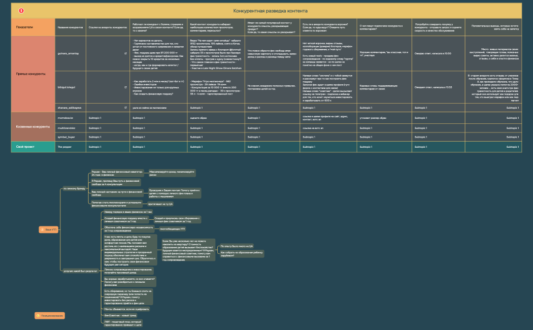 Раушан ФинСоветник Маркетинговый check-UP бизнеса