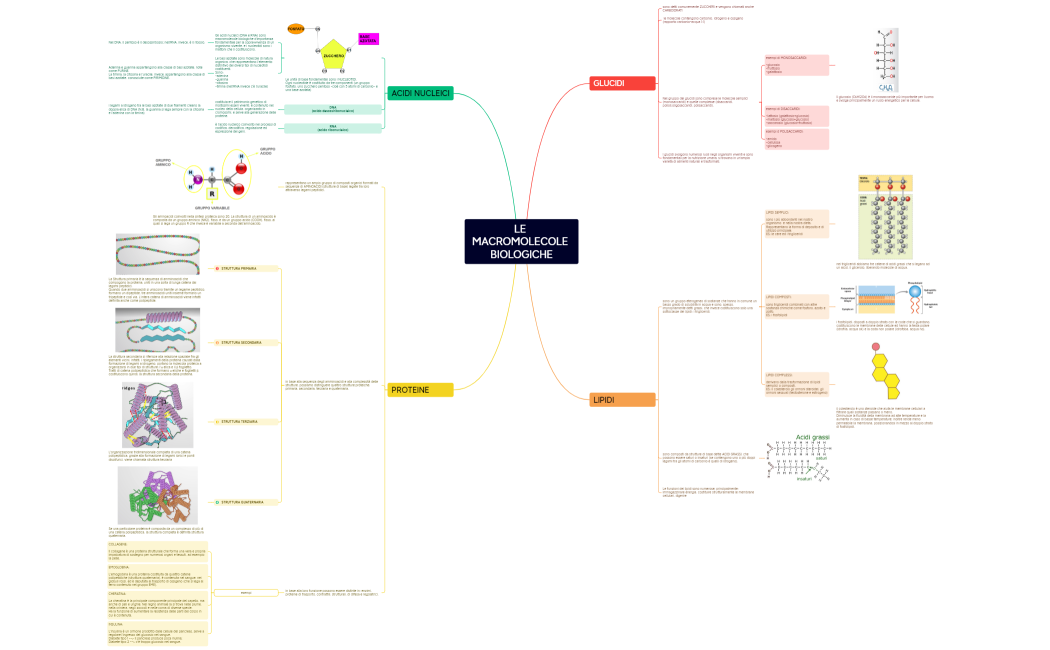 LE MACROMOLECOLE BIOLOGICHE