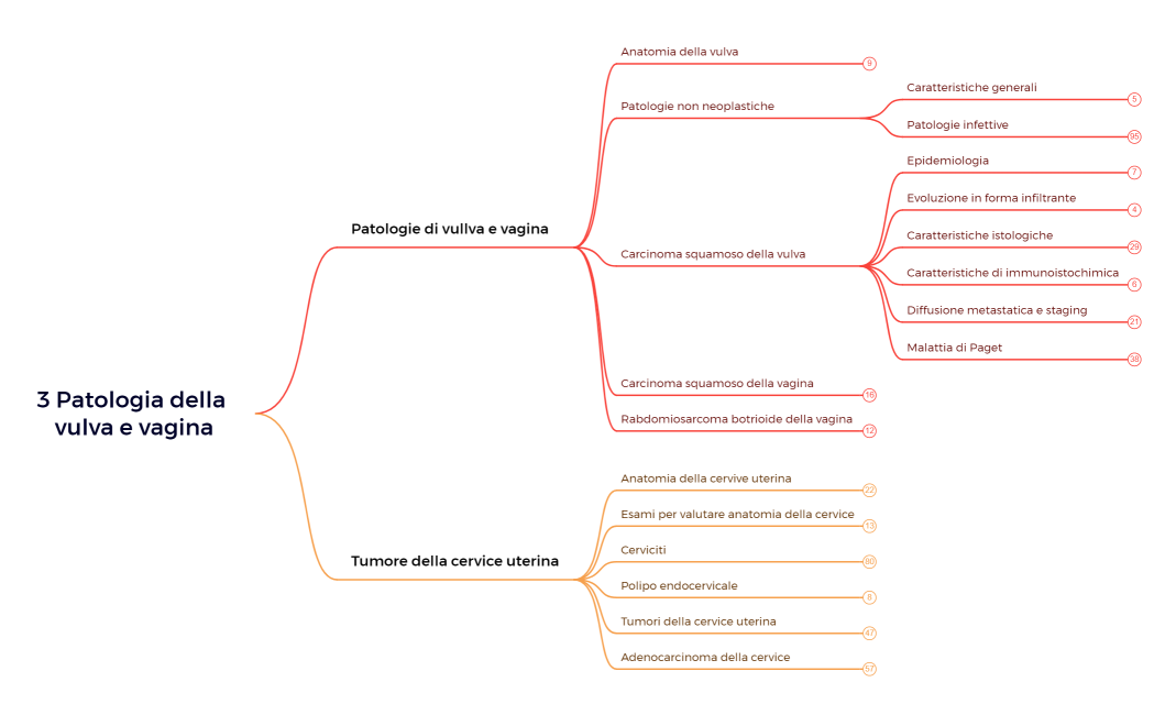 3 Patologia della vulva e vagina