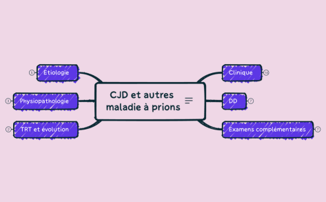 CJD et autres maladie à prions