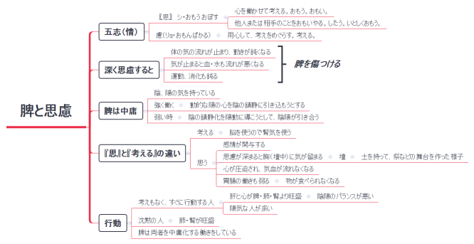 脾と思慮