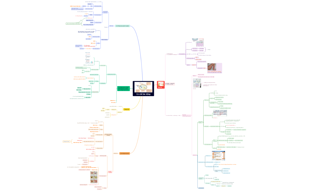 Cơ chế tác động
