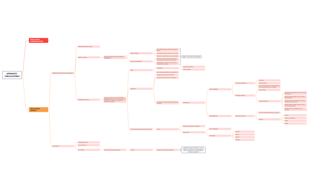 APPARATO CIRCOLATORIO