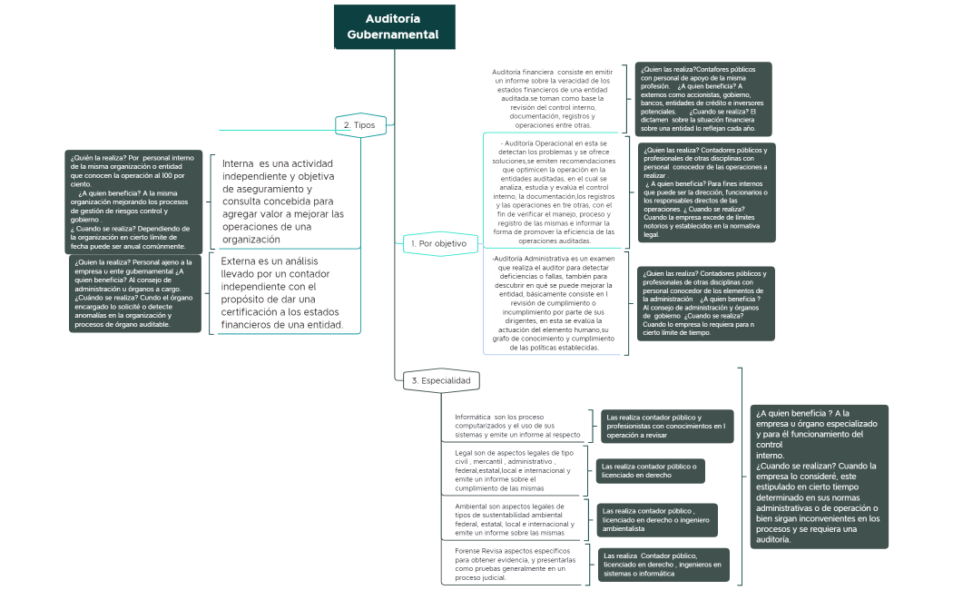 Auditoría Gubernamental 