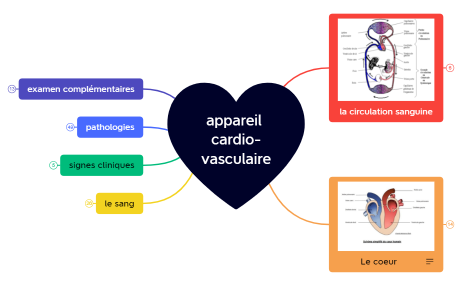 appareil cardio-vasculaire