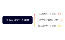 うるココサイト運用