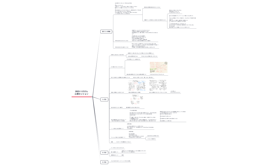 2023.りささん 心理セッション.xmind
